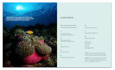 coral triangle, book, publication, madeja, kassem