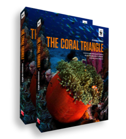 coral, triangle, book, madeja, kassem