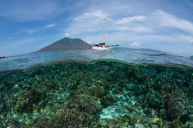 coral reef, alor, indonesia, eric madeja