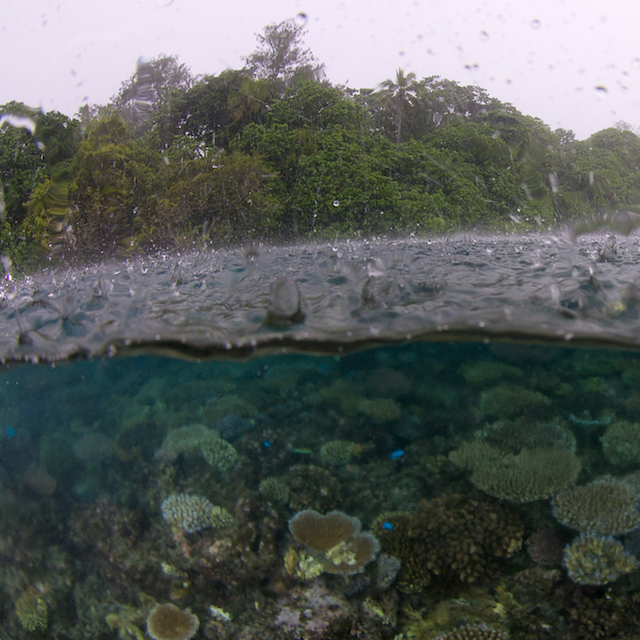 climate change storms coral triangle