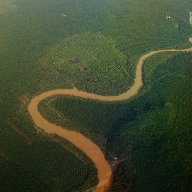 landbased pollution plantation coral triangle