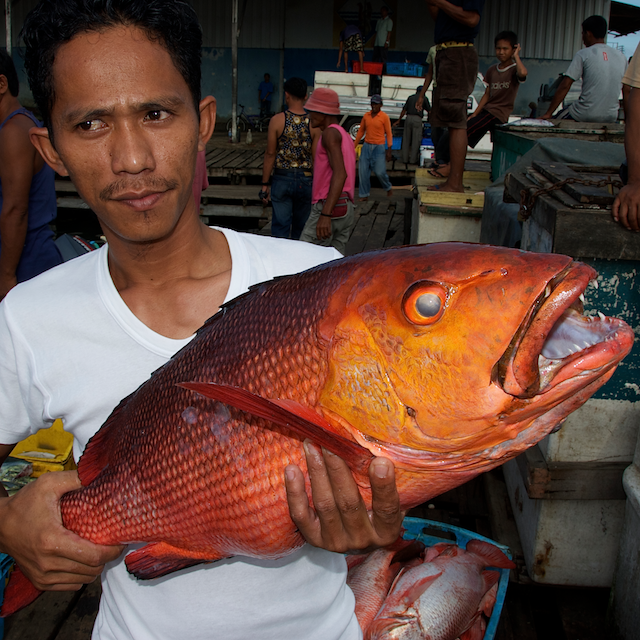 coral reef food fish coral triangle eric madeja