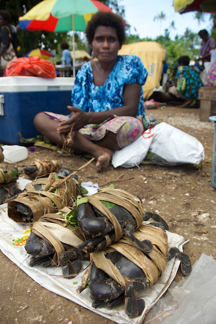 mud crab, png, kavieng, eric madeja