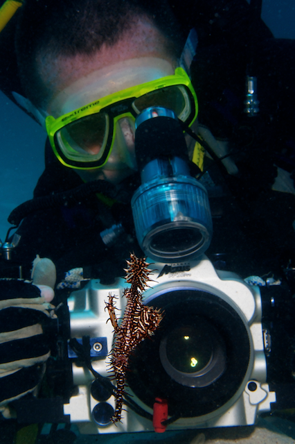 underwater photography, coral triangle, conservation, eric madeja